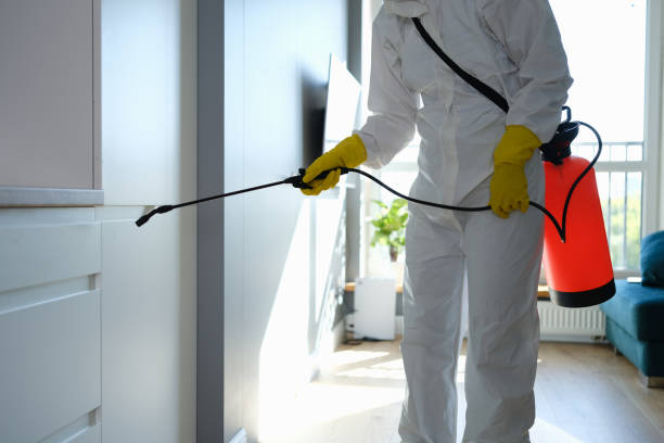 Best Attic Mold Removal  in Tama, IA
